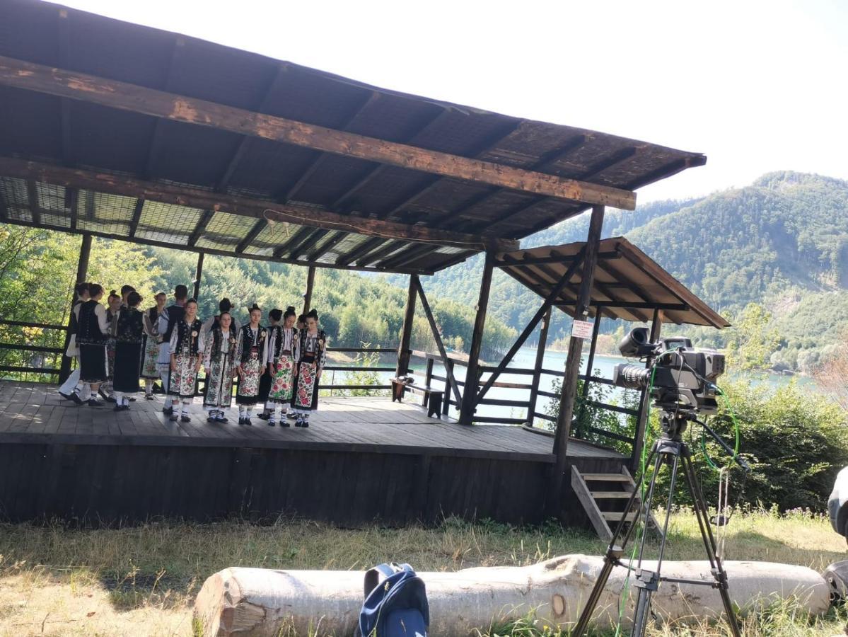 Pensiunea Izvorul Bucuriei 锡里乌 外观 照片